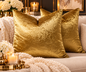 The Gilded Luxe Velvet Pillow Covers | Set of 2